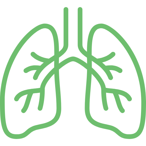 Akciğer – spirometrinin sembolü